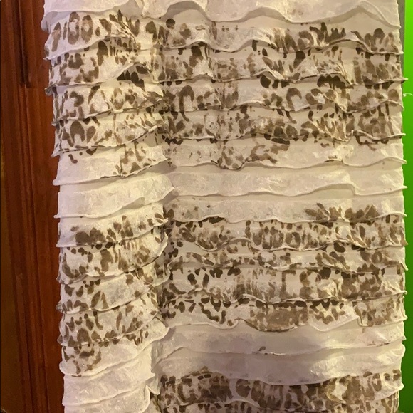 Sheer Ruffle Dress, Small - Picture 2 of 5